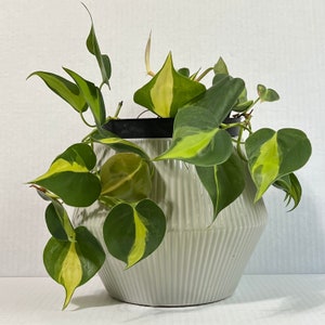 Ribbed Ceramic Planter Cachepot Vase, Geometric Gray Sculptural Utensil Crock