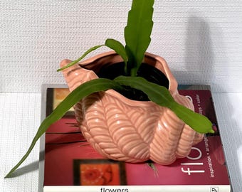 Vintage 70s 80s Ceramic Conch Shell Planter Pink | Shel l Conch Shell Flower Pot Cache Pot