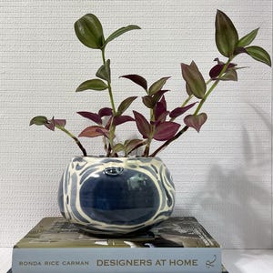 May include: A small, round, blue and white ceramic planter with a swirling pattern, holding a Tradescantia plant with green and purple leaves. The planter sits atop a stack of books, including one titled "DESIGNERS AT HOME."