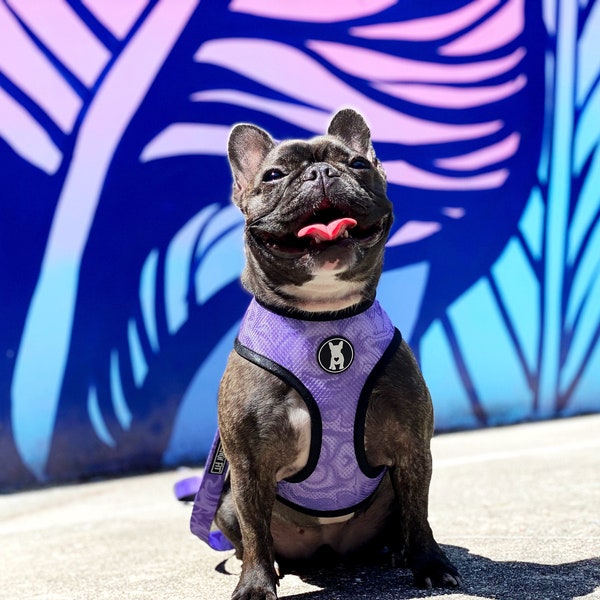 Purple Passion Cannabis and Marble Reversible Dog Harness