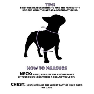 Op de afbeelding: Diagram dat laat zien hoe je een hond moet meten voor een harnas. Het diagram toont een silhouet van een hond met labels voor "nek" en "borst". De tekst onder het diagram legt uit hoe je de nek en borst van een hond moet meten.