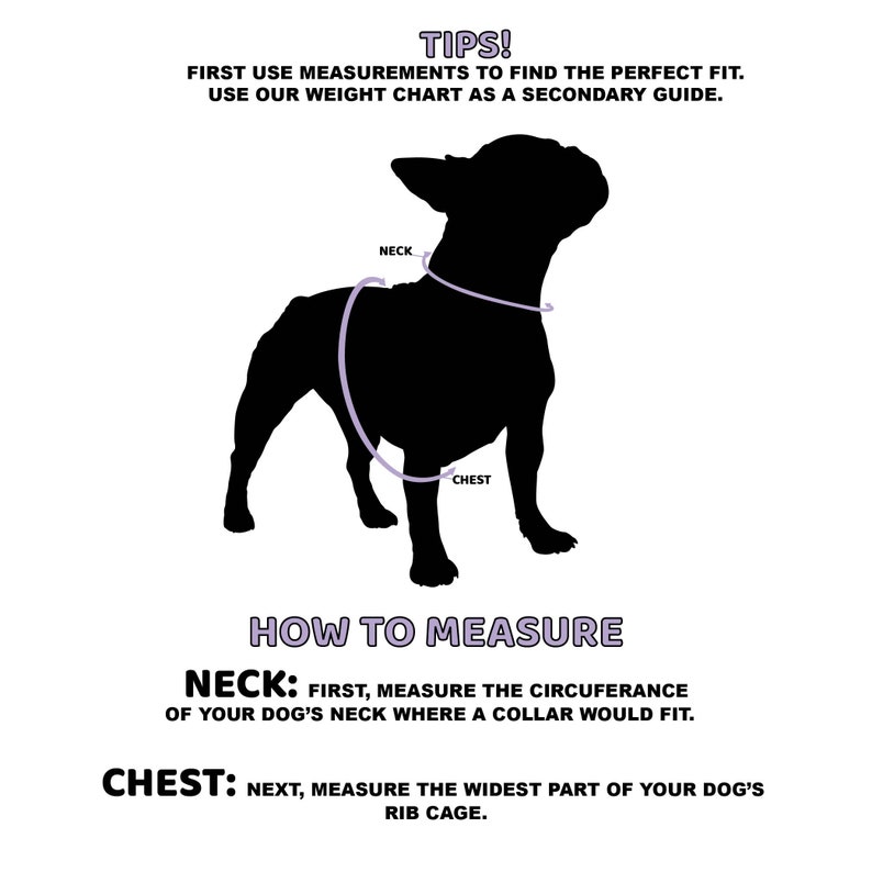 Op de afbeelding: Diagram dat laat zien hoe je een hond moet meten voor een harnas. Het diagram toont een silhouet van een hond met labels voor "nek" en "borst". De tekst onder het diagram legt uit hoe je de nek en borst van een hond moet meten.