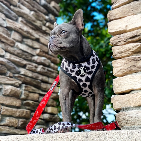 Red Paisley Cow Print Reversible Dog Harness