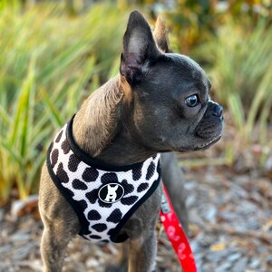 Red Paisley Cow Print Reversible Dog Harness - Etsy