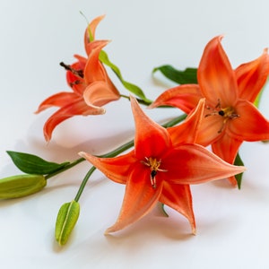 Real touch of Coral PU tiger lily  Wedding decorative flowers  White bridal bouquet  Bridesmaid flowers