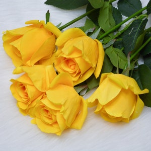 Pode incluir: Um buqu&ecirc; de cinco rosas amarelas com folhas verdes. As rosas est&atilde;o dispostas em um cacho, com os caules apontando para a parte inferior da imagem.