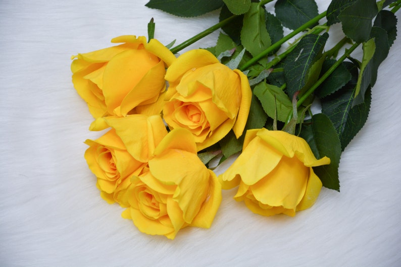 Pode incluir: Um buqu&ecirc; de cinco rosas amarelas com folhas verdes. As rosas est&atilde;o dispostas em um cacho, com os caules apontando para a parte inferior da imagem.