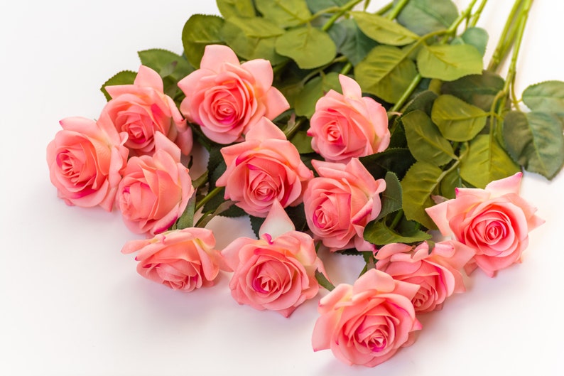 May include: A bouquet of pink roses with green leaves on a white background.