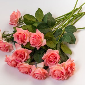 May include: A bouquet of pink roses with green leaves and stems. The roses are arranged in a loose, natural way, with some of the flowers overlapping.