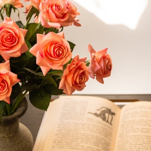 May include: A bouquet of peach-colored roses in a gray stone vase, sitting on a table next to an open book.