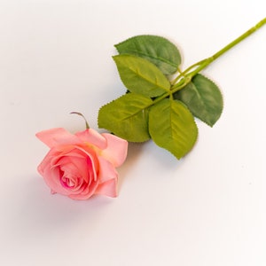 May include: A single pink rose with green leaves on a white background.