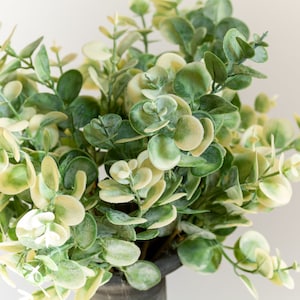 Bouquet polveroso di foglie di eucalipto verde bianco Matrimonio verde Bouquet da sposa Decorazioni per la casa