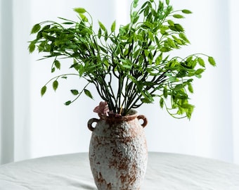 Pode incluir: Um vaso de terracota texturizado com um acabamento branco desgastado e duas pequenas alças laterais. O vaso contém um grupo de caules folhosos de cor verde vibrante com folhagem pequena e pontiaguda que se estende em várias direções.