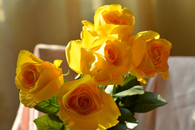 Pode incluir: Um buqu&ecirc; de rosas amarelas com folhas verdes. As rosas est&atilde;o em foco e o fundo est&aacute; desfocado.