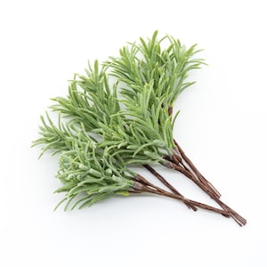 Foglie di eucalipto artificiali aciculiformi - Set di 6 mini bouquet di verde polveroso