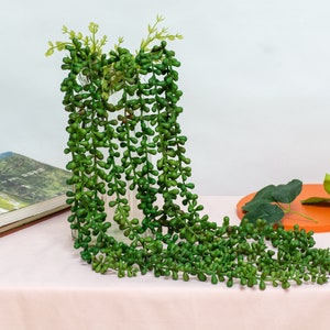 Succulent String of Pearls. Succulent plants. Lover&#39;s tears. Bridal party decoration