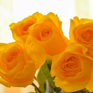 Pode incluir: Um buqu&ecirc; de cinco rosas amarelas com folhas verdes.