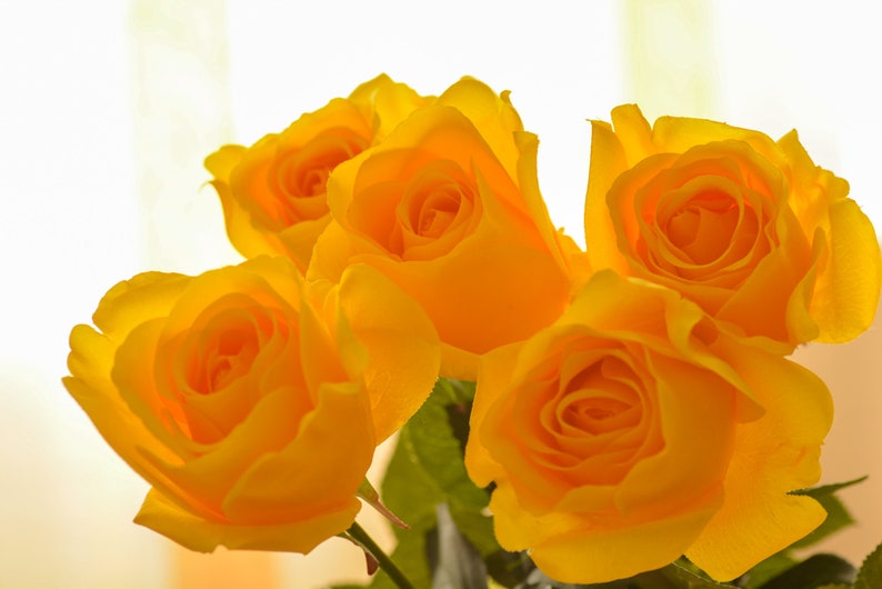 Pode incluir: Um buqu&ecirc; de cinco rosas amarelas com folhas verdes.