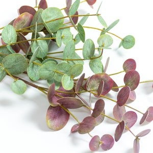 Three forked artificial eucalyptus leaves Wedding eucalyptus leaves  Eucalyptus bouquets Home floral arrangements