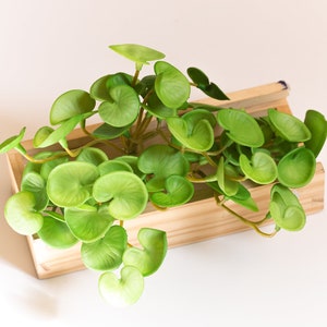 Mazzo di foglie di eucalipto artificiali: verde gomma morbida, decorazione per la casa per matrimoni