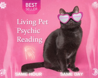 ANY PET Psychic Reading for Living Pets • Uncover Your Pet's Secrets Tarot Reading Same Day