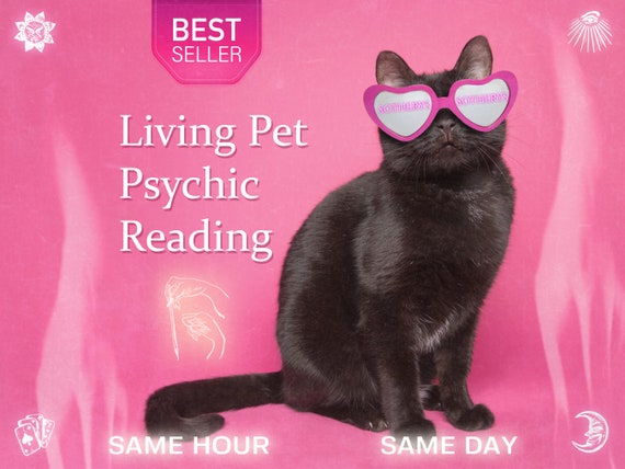 Pet Psychic Reading | Understand Your Pet's Secrets (Same Day)