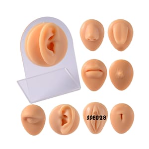 Può includere: Set di nove modelli di pelle realistici in silicone per l'applicazione del trucco. I modelli includono un orecchio, un naso, labbra, una lingua, un seno e due forme di vulva diverse.