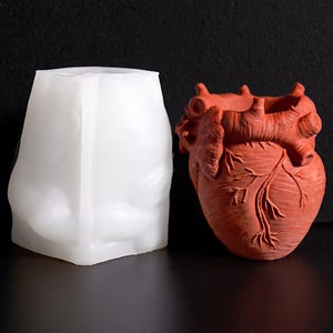 Op de afbeelding: Een witte siliconen mal en een roodbruine anatomisch gevormde hartvormige plantenbak. De plantenbak heeft gedetailleerde aderen en een holle binnenkant. De mal is een solide, ondoorzichtige vorm, waarschijnlijk voor het gieten van de plantenbak.