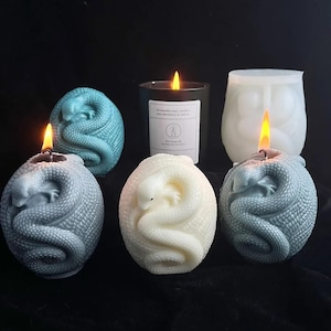 Puede incluir: Una colección de velas encendidas de varias formas y colores. Las velas incluyen una vela de tarro negro, una vela blanca con forma de búho y varias velas con forma de serpiente en tonos azules y blancos. Las velas están sobre una superficie negra.