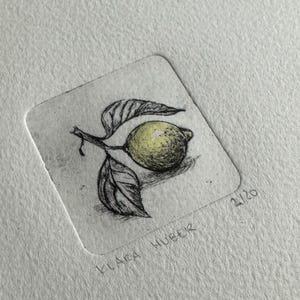 Limone | Mini stampa estiva | stampato a mano | rotocalco colorato | incisione a puntasecca