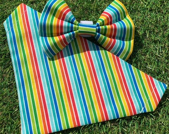 Bright stripes pup and pawent accessories