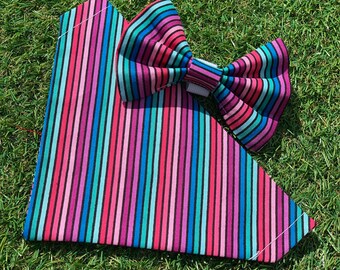 Berry stripes pup and pawent accessories