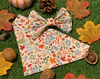 Autumn leaves pup and pawent accessories