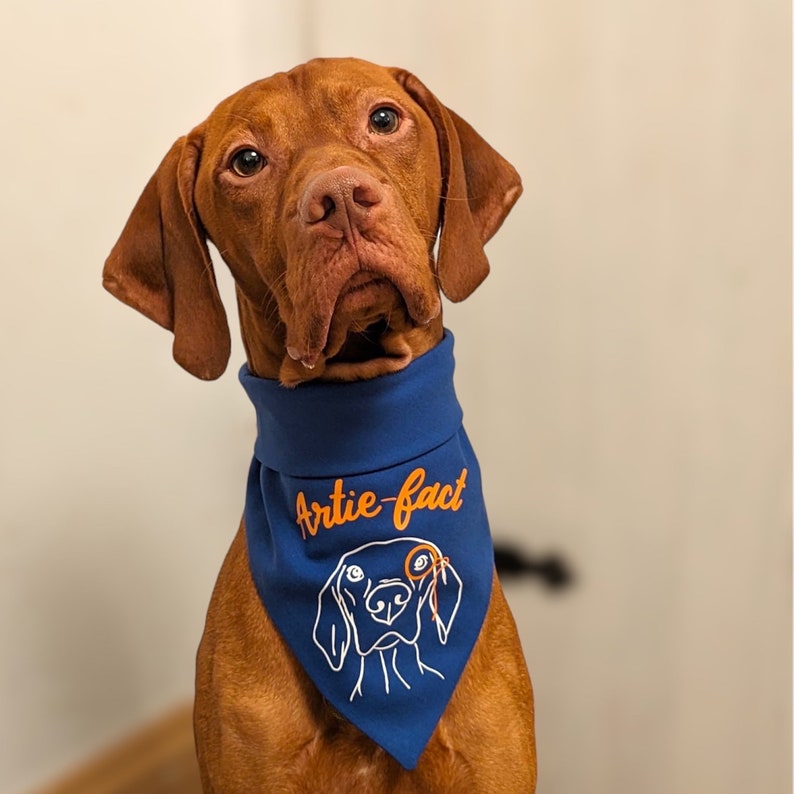 Design your own custom tie neck bandana image 6