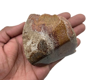 Piedra de cristal de hueso de dinosaurio natural en bruto con una superficie pulida y otra superficie cruda.