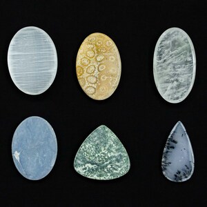 Natural Diopside Zoisite Milky Quartz Angelite Dendrite Selenite Fossil Coral