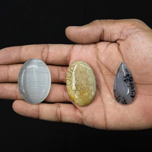 Natural Diopside Zoisite Milky Quartz Angelite Dendrite Selenite Fossil Coral