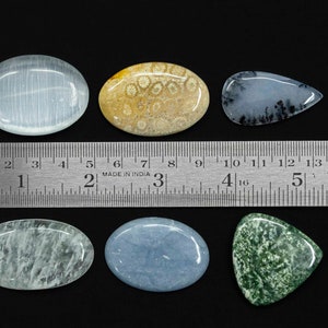 Natural Diopside Zoisite Milky Quartz Angelite Dendrite Selenite Fossil Coral