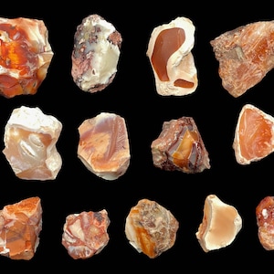 May include: A collection of 14 rough, natural, brown, orange, and white agate stones. The stones are various shapes and sizes.