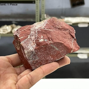 Roter Jaspis Kristall Edelstein Rohe Rohe Mineral Probe