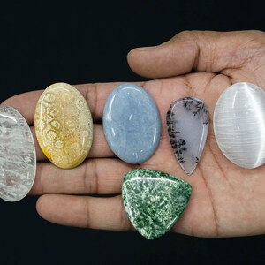 Natural Diopside Zoisite Milky Quartz Angelite Dendrite Selenite Fossil Coral