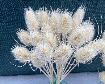 Fiori Secchi Naturali - 72 Pezzi Per Resina, Crafts, Decorazioni Fai Da Te