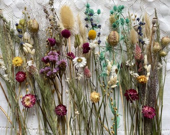 May include: A collection of dried flowers and grasses featuring a variety of colors including magenta, yellow, white, and teal. The arrangement includes various stems, seed pods, and small blossoms, creating a diverse botanical display.