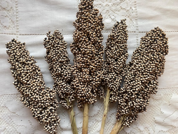 50/100/150 grams, organic sorghum, hamster sprays