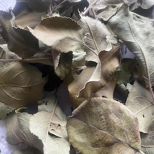 230 g, Organic Apple Leaves