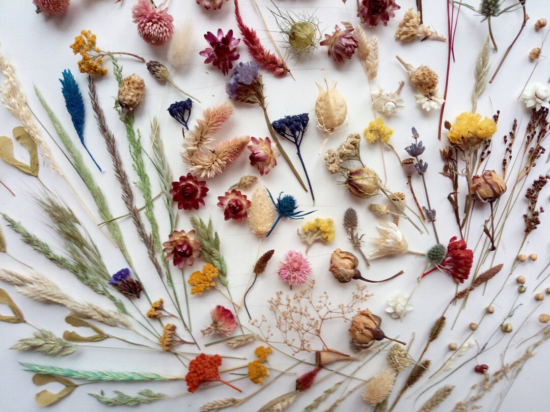 Dried Flower Mix Small Flowers Dried Flowers for Projects Etsy