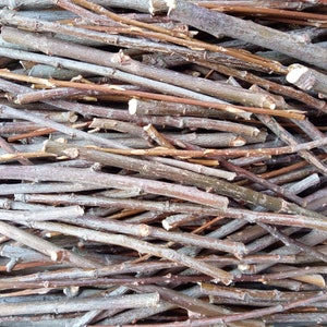 4 oz, willow sticks, treats for chinchillas and rabbits, twigs for rodents, organic food
