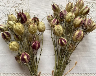 20 cajas de vainas de Nigella secas naturales: ramo decorativo para el hogar