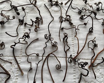 30 large real grape tendrils, fairy garden tendrils, natural eco-friendly crafts