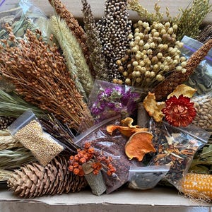 Op de afbeelding: Een assortiment gedroogde bloemen, kruiden en granen in doorzichtige plastic zakjes. De artikelen omvatten gedroogde tarwe, lavendel en maïs. De artikelen zijn gerangschikt in een doos.